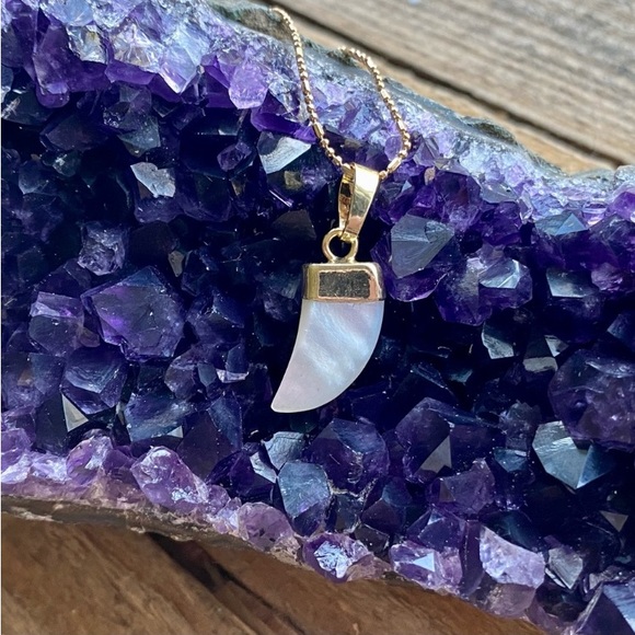 Mother of Pearl Necklace Horn Carved Shell BOHO Gold - Picture 14 of 16